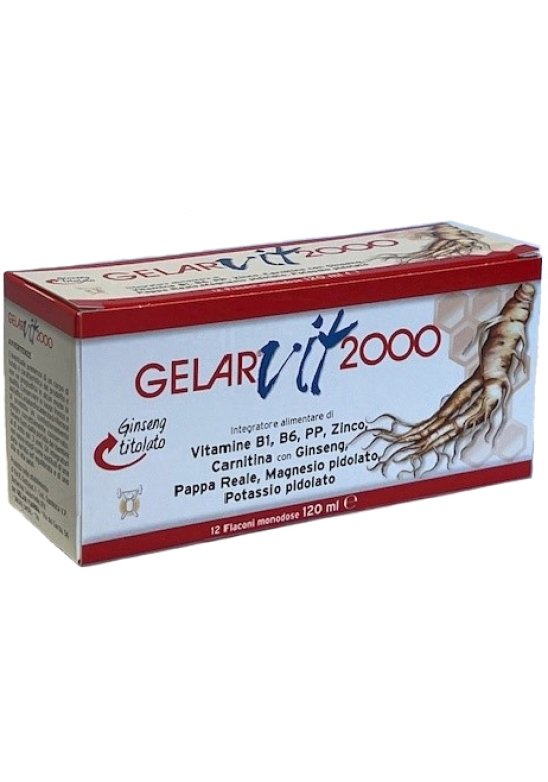 GELAR VIT 2000 INTEG.28FL 10ML