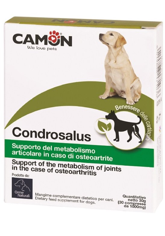 CONDROSALUS ORME NAT 60CPR