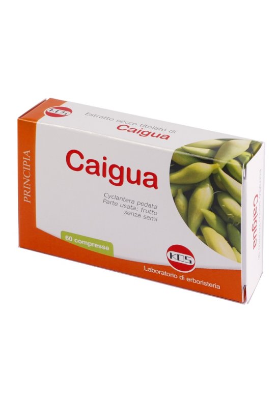 CAIGUA ESTR SEC 60CPR 22,2G KO