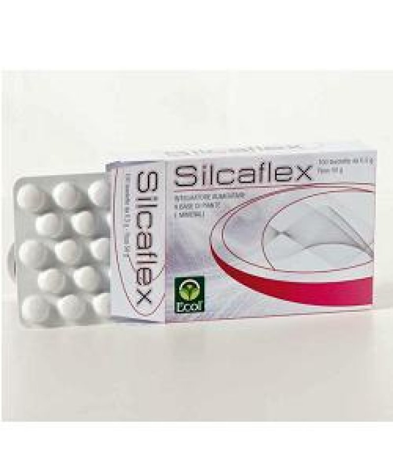 SILCAFLEX 100TAV