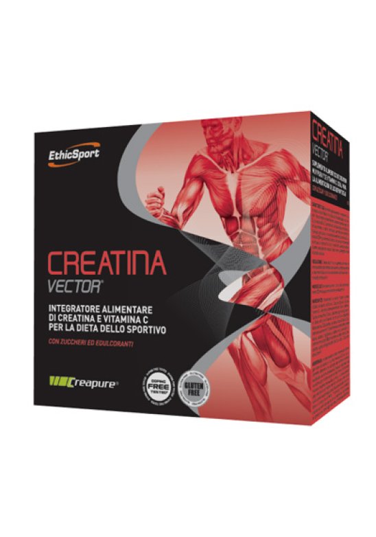 CREATINA VECTOR 20BUST 8G