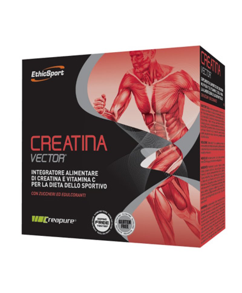 CREATINA VECTOR 20BUST 8G