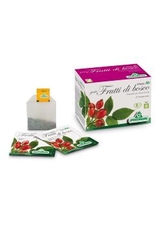 INFUSO BIO FRUTTIBOSCO 20FILTRI