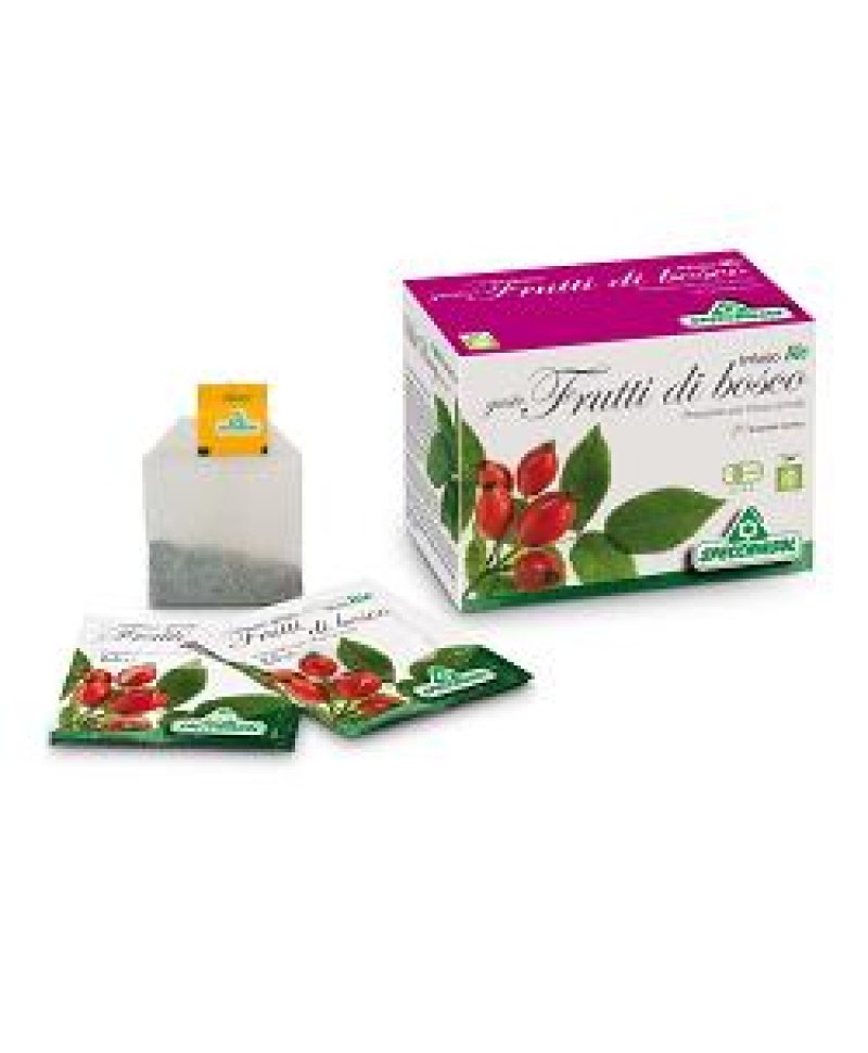 INFUSO BIO FRUTTIBOSCO 20FILTRI