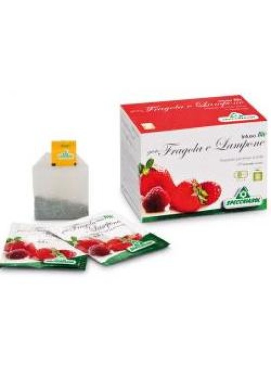INFUSO FRAGOLA/LAMPONE 20FILT