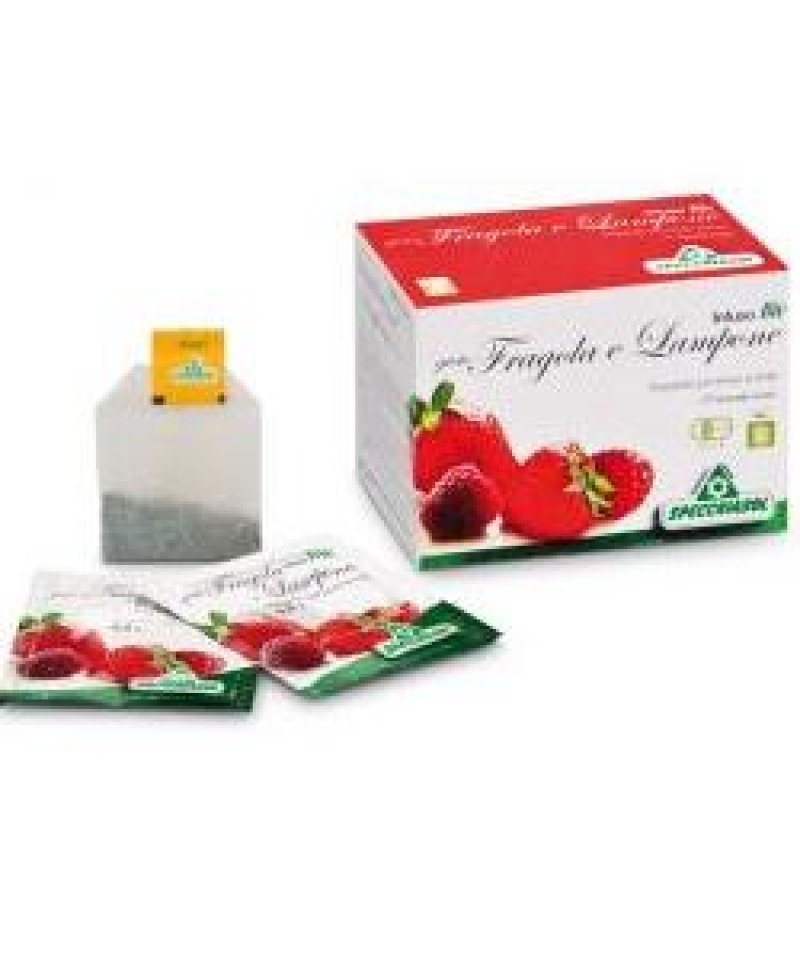 INFUSO FRAGOLA/LAMPONE 20FILT
