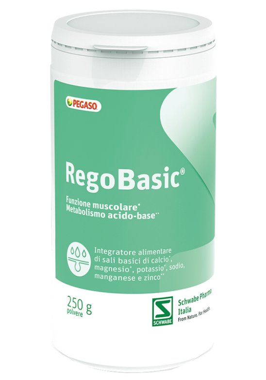 REGOBASIC POLVERE 250G