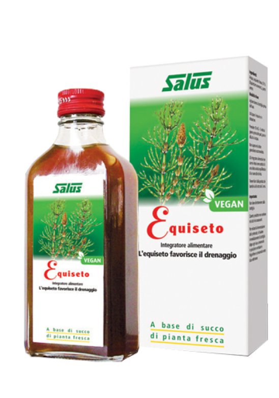 EQUISETO SUCCO 200ML