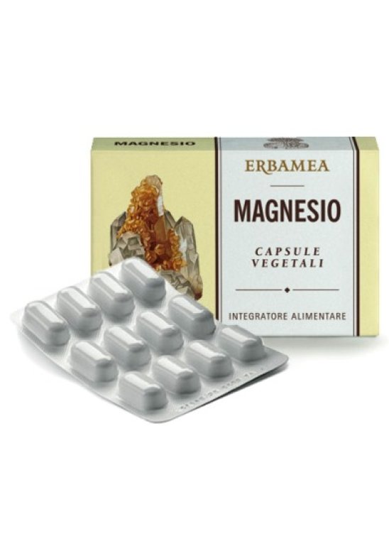 MAGNESIO 24CPS 1200MG