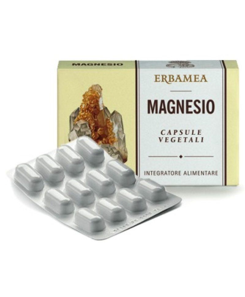 MAGNESIO 24CPS 1200MG