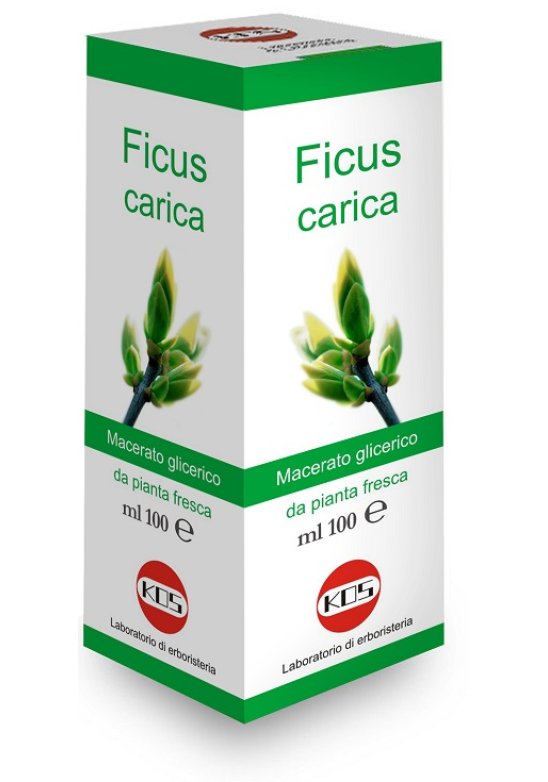 FICUS CARICA MG 100ML GTT