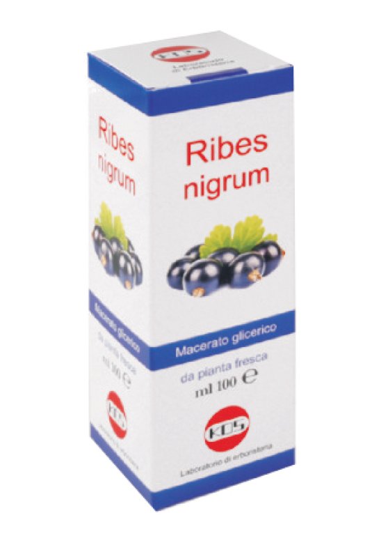 RIBES NIGRUM MG 100ML  Gocce