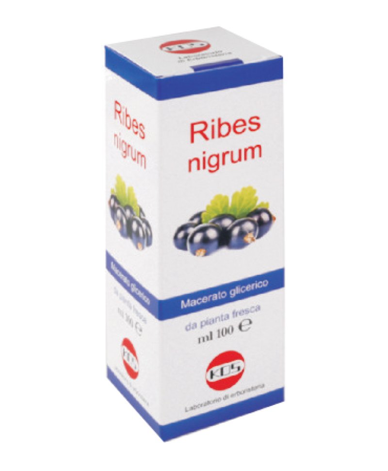 RIBES NIGRUM MG 100ML  Gocce