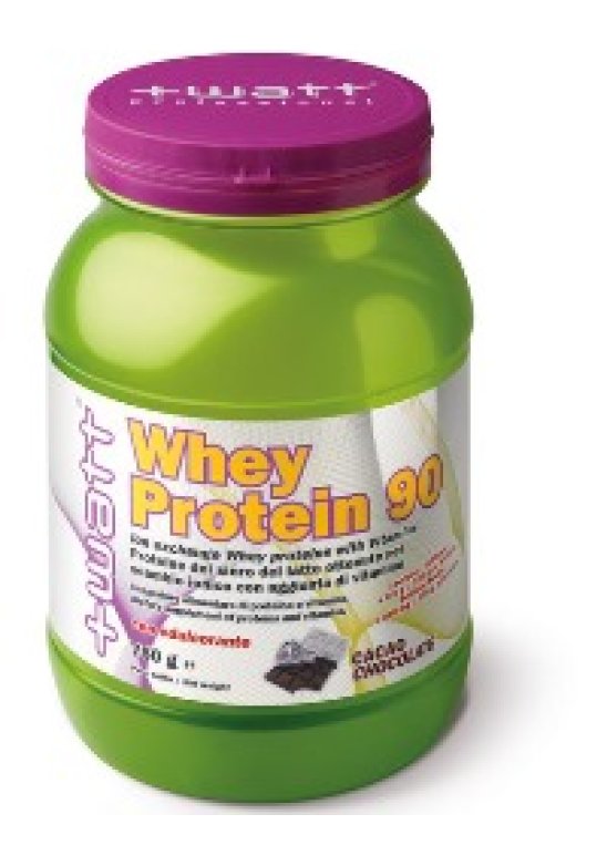 WHEY PROTEIN 90 CACA0 750G