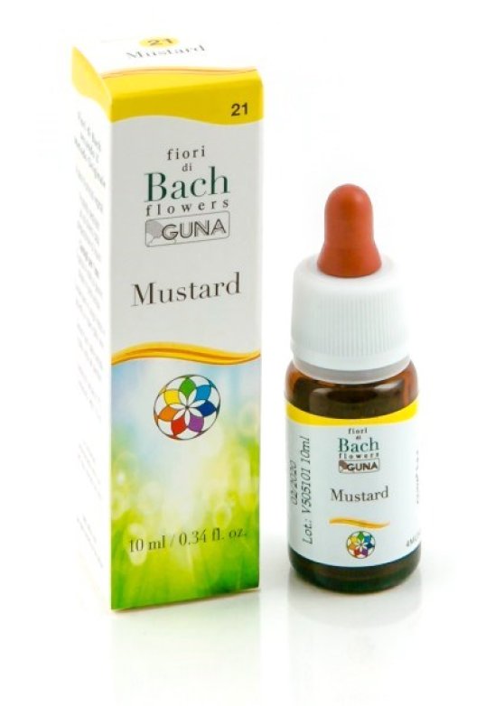 HE.MUSTARD GUN  Gocce 10ML F.BACH