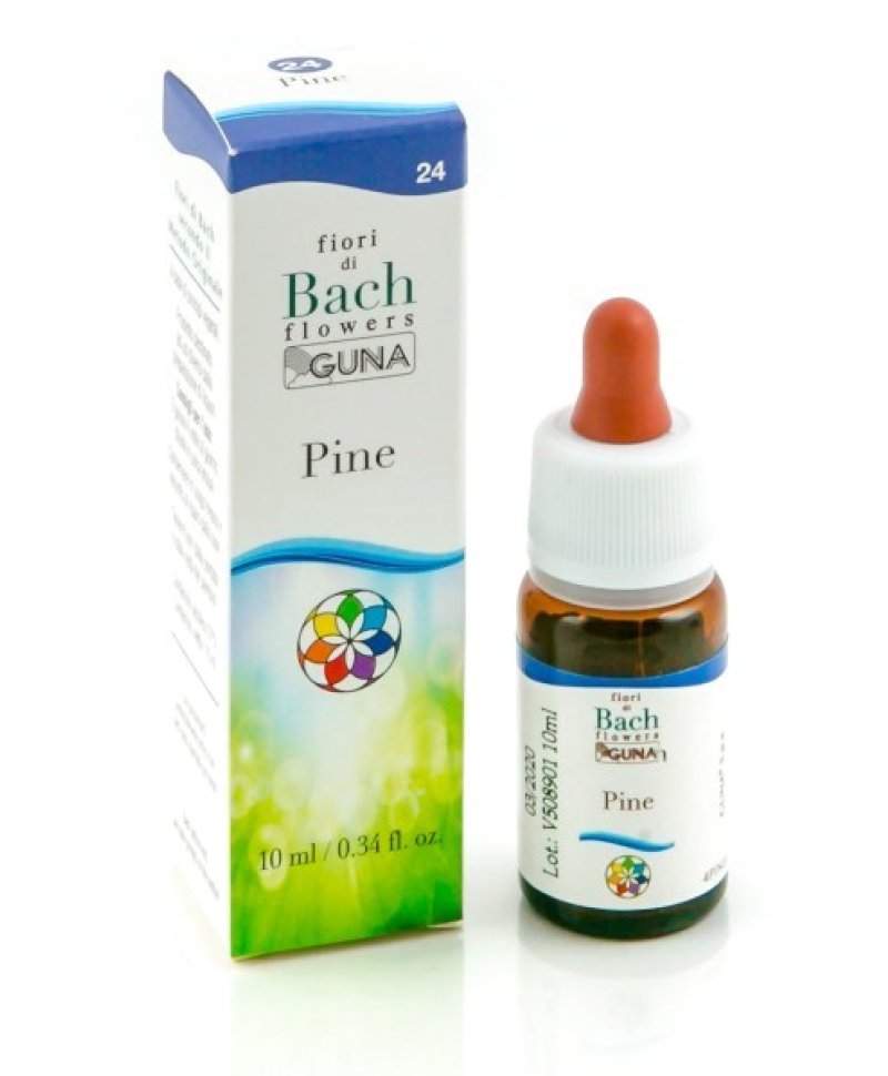 HE.PINE GUN  Gocce 10ML F.BACH