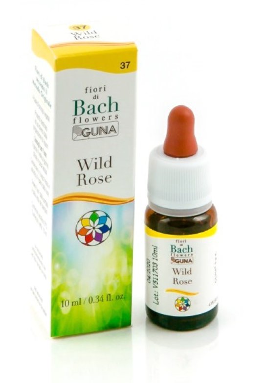 WILD ROSE GUN GTT 10ML