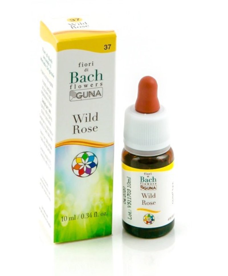 WILD ROSE GUN GTT 10ML