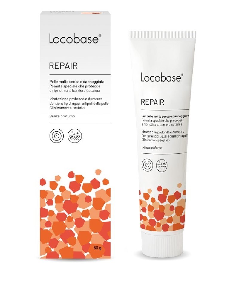 LOCOBASE REPAIR 50G