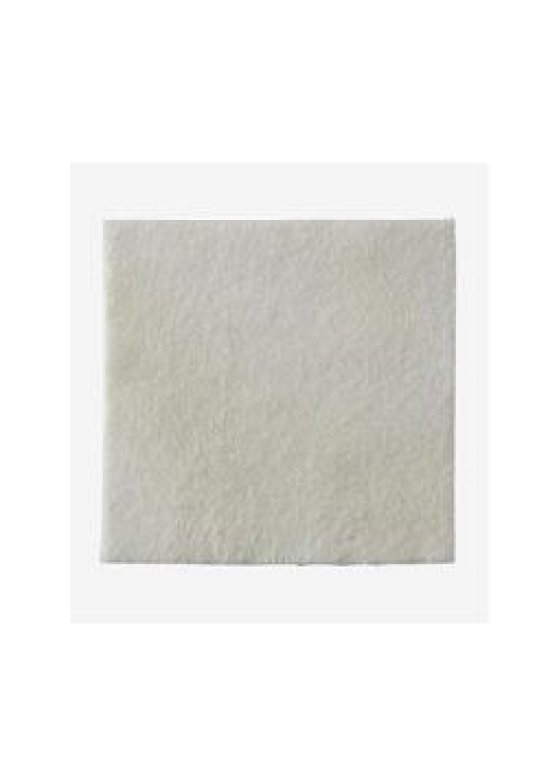 BIATAIN ALG MEDIC 15X15CM 10PZ