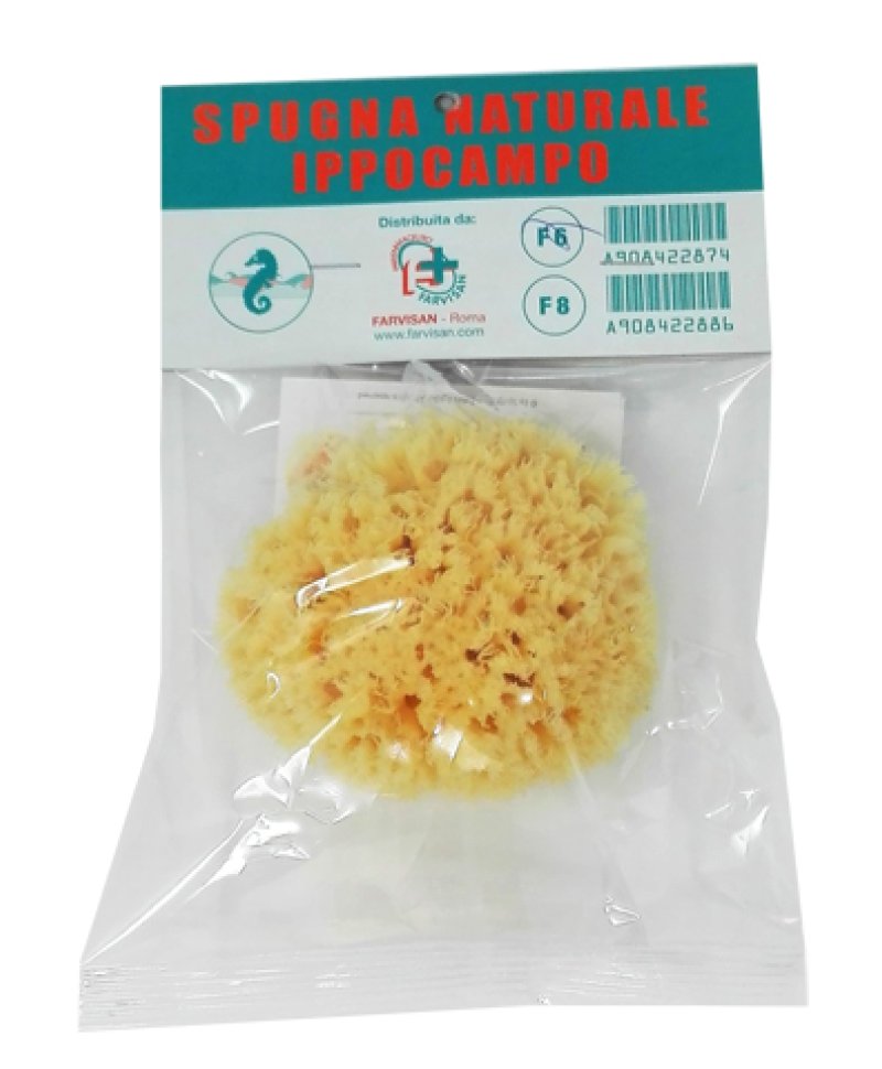 SPUGNA NATURALE IPPOCAMPO 6
