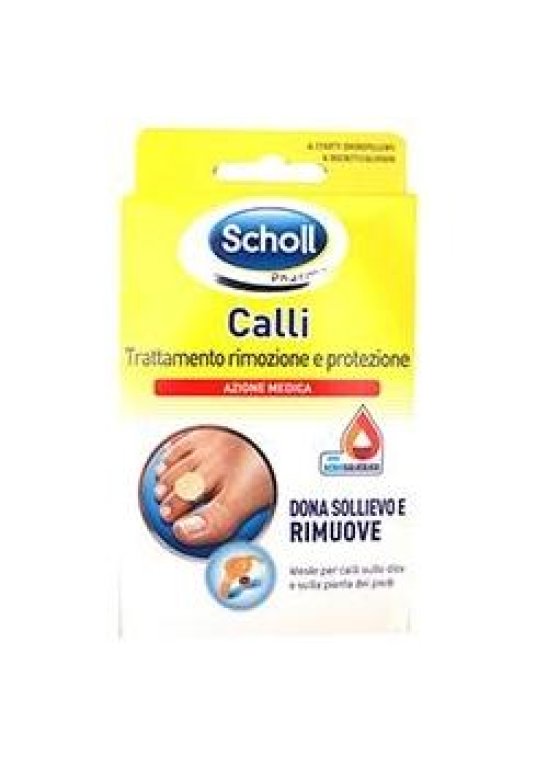 SCHOLL CER CALLIF TRATT R/PROT