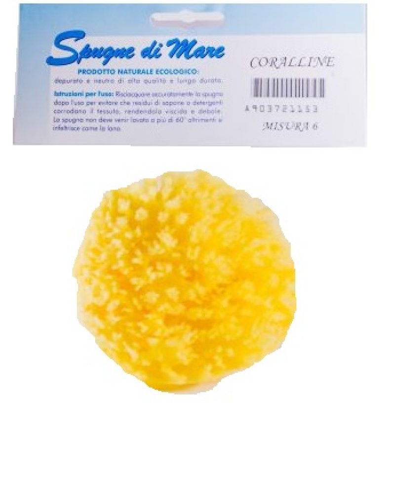 SPUGNA MARE NATURALE M