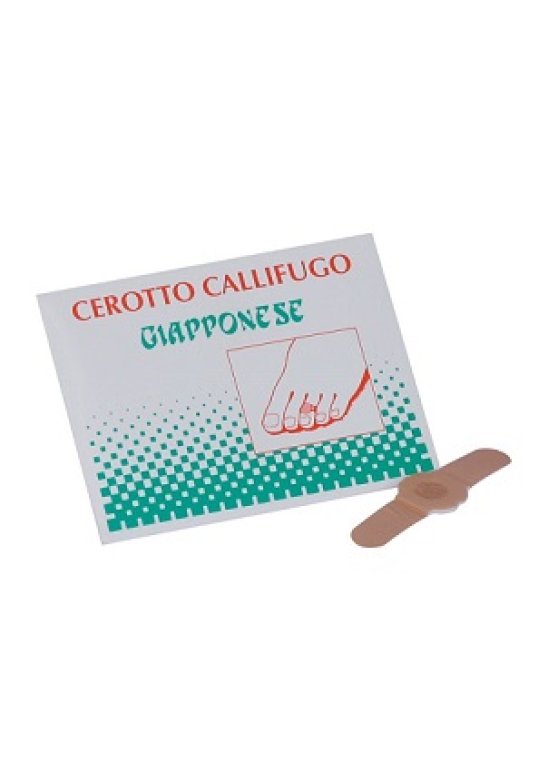 CALLIFUGO GIAPPONESE 4CEROT.C/PA CALLIFUGO GIAPPONESE 4CEROT.C/PA