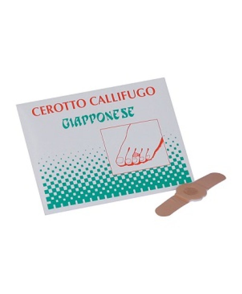 CALLIFUGO GIAPPONESE 4CEROT.C/PA