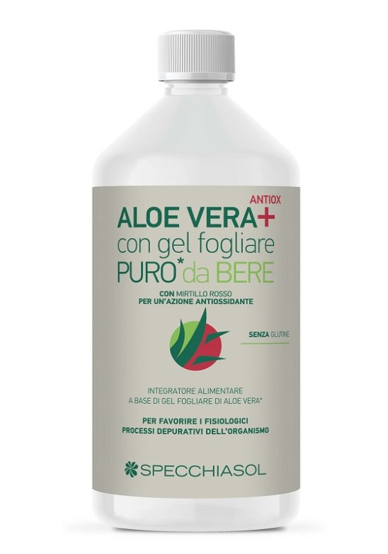 SUCCO ALOEVERA+ ALOE/MIRT R1LT