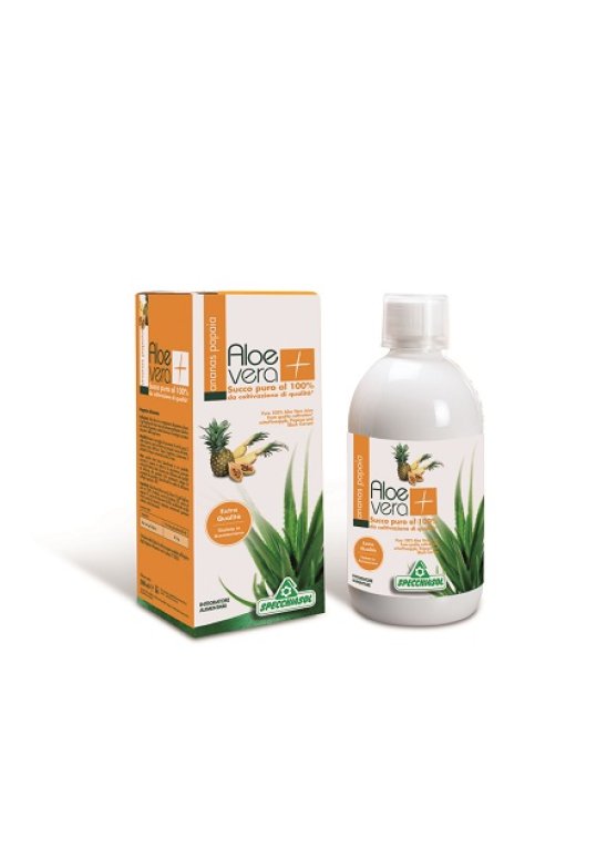 SUCCO ALOEVERA+ ANAN/PAP1000ML