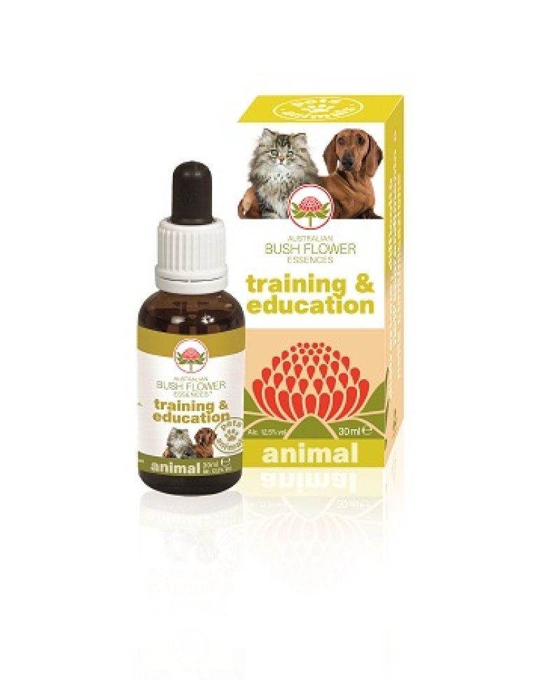 TRAINING & EDUCATION 30ML