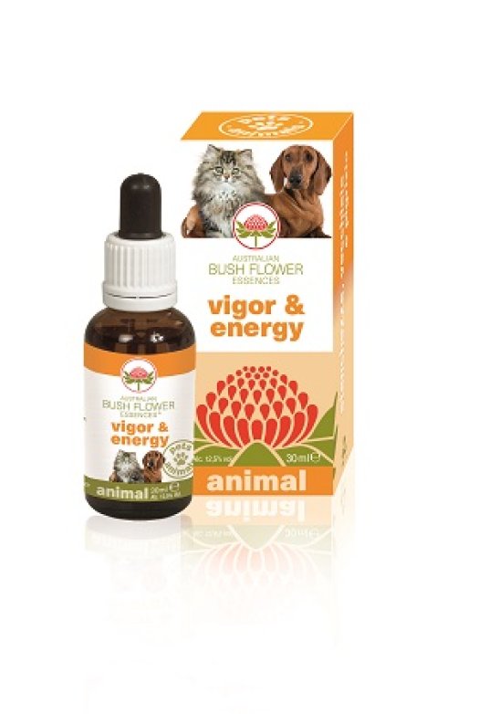 V BUSH PET VIGOR & ENERGY 30ML G