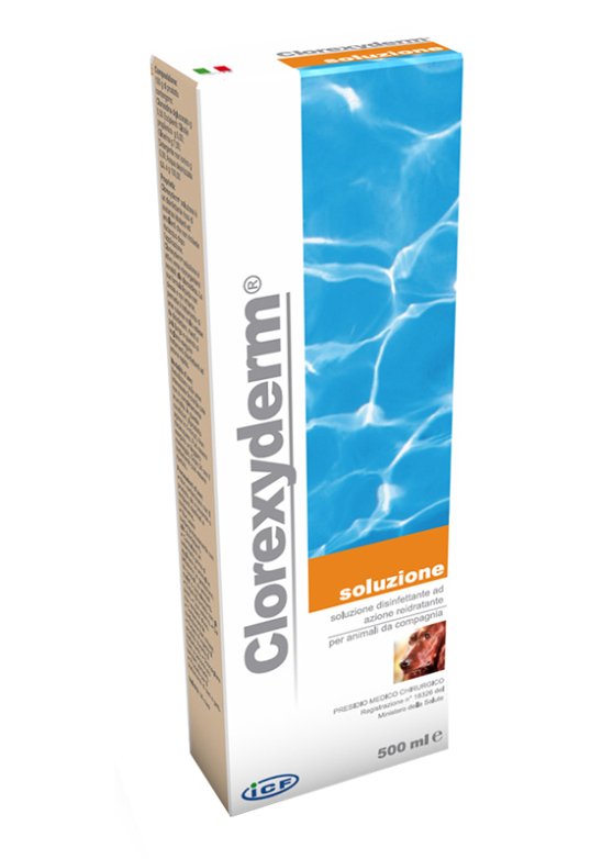 CLOREXYDERM*SOLUZIONE 500 ML