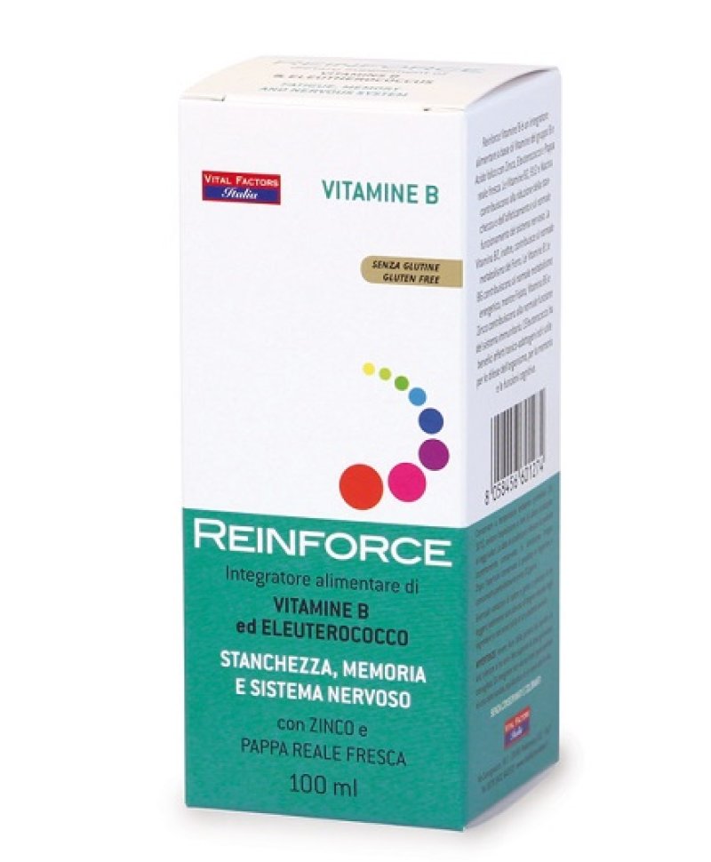 REINFORCE VITAMINA B 100ML REINFORCE VITAMINA B 100ML