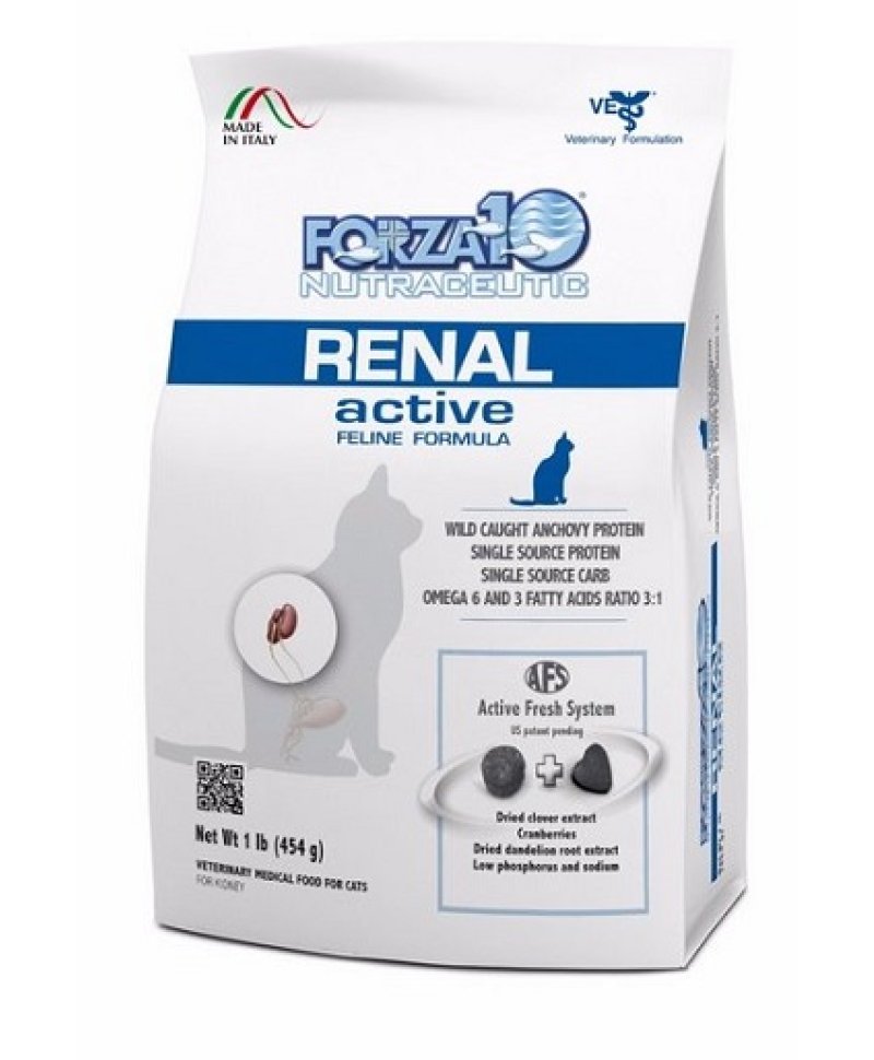 RENAL ACTIVE GATTO 454G