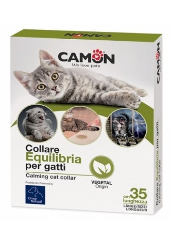 COLLARE AEQUILIBRIA GATTI 1PZ