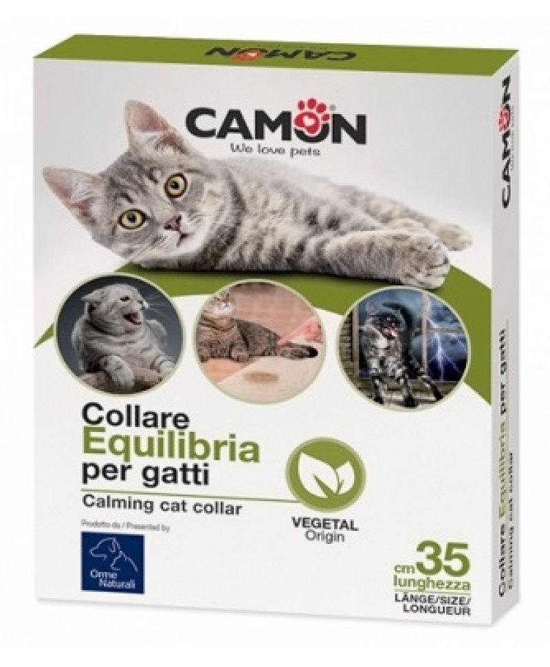 COLLARE AEQUILIBRIA GATTI 1PZ