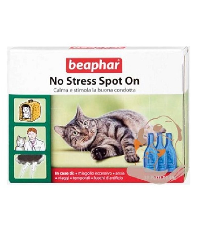 V NO STRESS GATTO SPOTON 3 PIPET