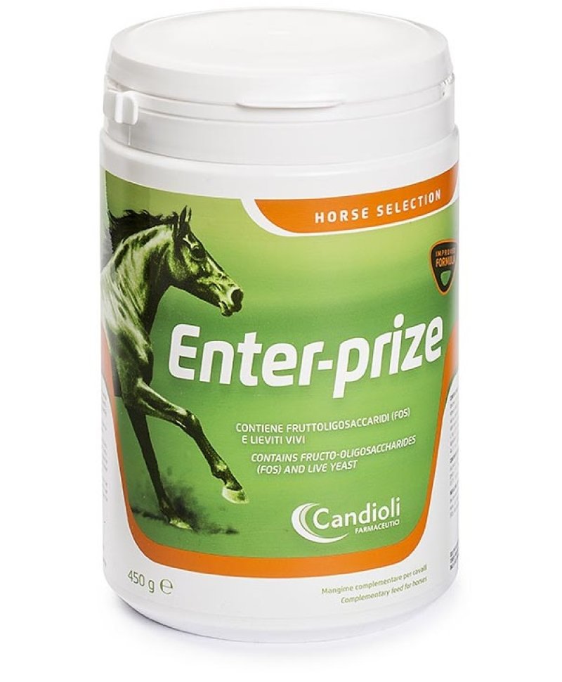 ENTER-PRIZE 450G