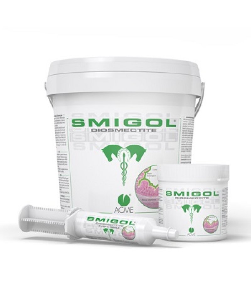 SMIGOL PASTA 1 SIRINGA 100G