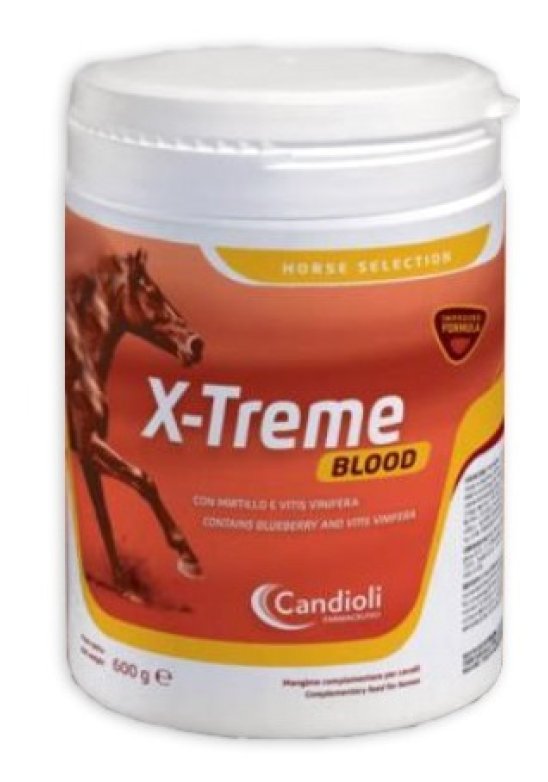 X-TREME BLOOD 600G