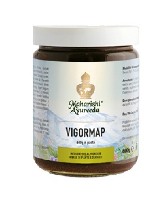 VIGORMAP PASTA 600G VIGORMAP PASTA 600G