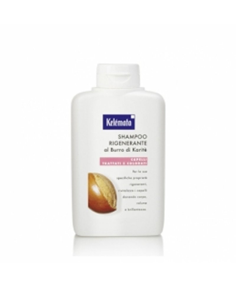 SHAMPOO RIGEN BURRO KARIT250ML