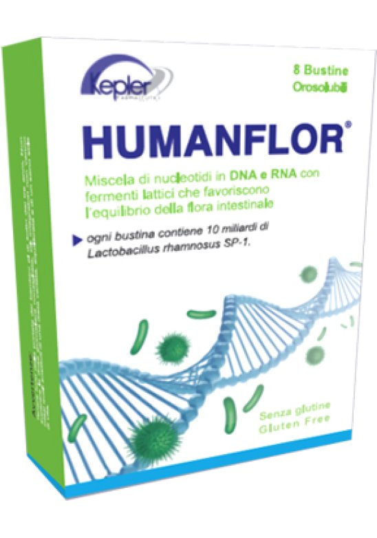 HUMANFLOR 8BUST 12G