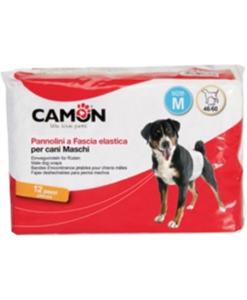 PANNOLINO FASCIA PER CANI MASC