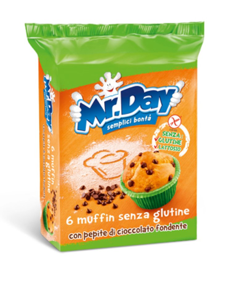 MR DAY MUFFIN C/PEPITE CIOC SG