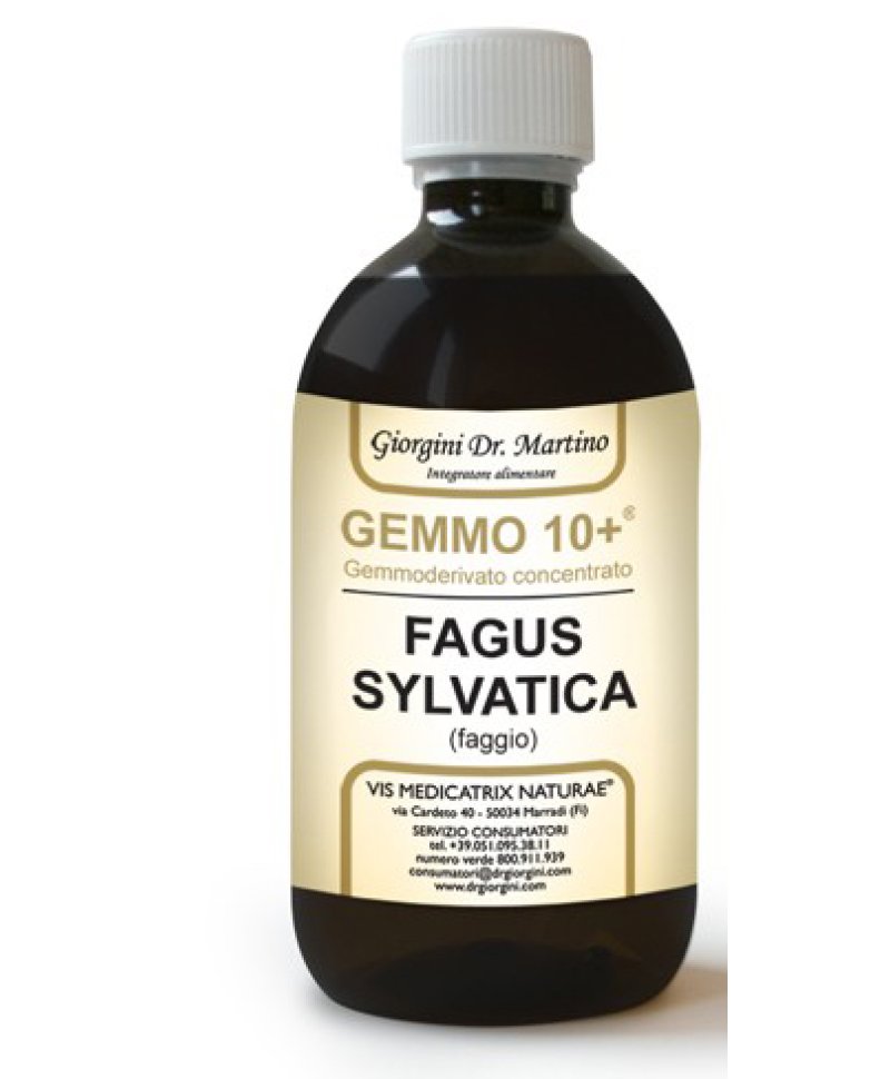 FAGGIO 500ML ANALCO GEMMO 10+