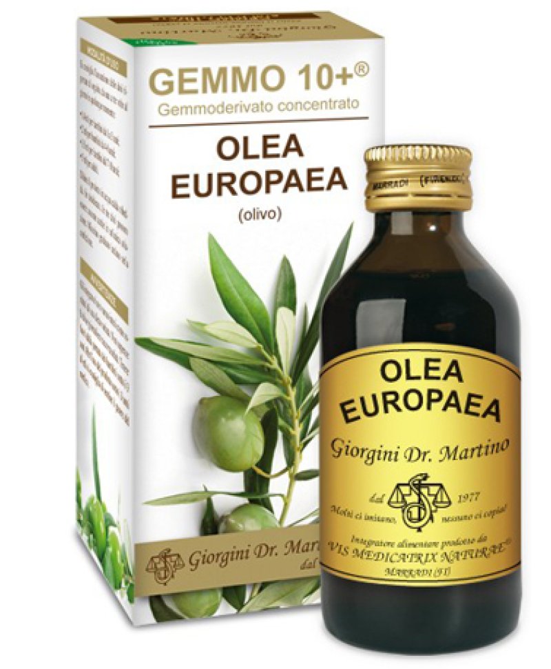 OLIVO 100ML ANALCO GEMMO 10+