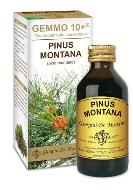 PINO MONT 100ML ANALCO GEM 10+